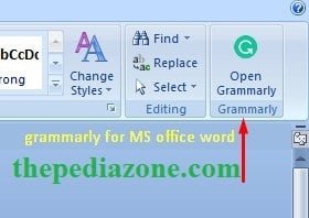 grammerly for MS office word